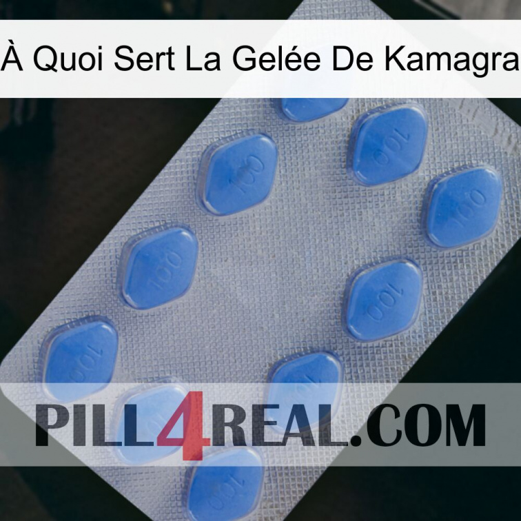 À Quoi Sert La Gelée De Kamagra 21